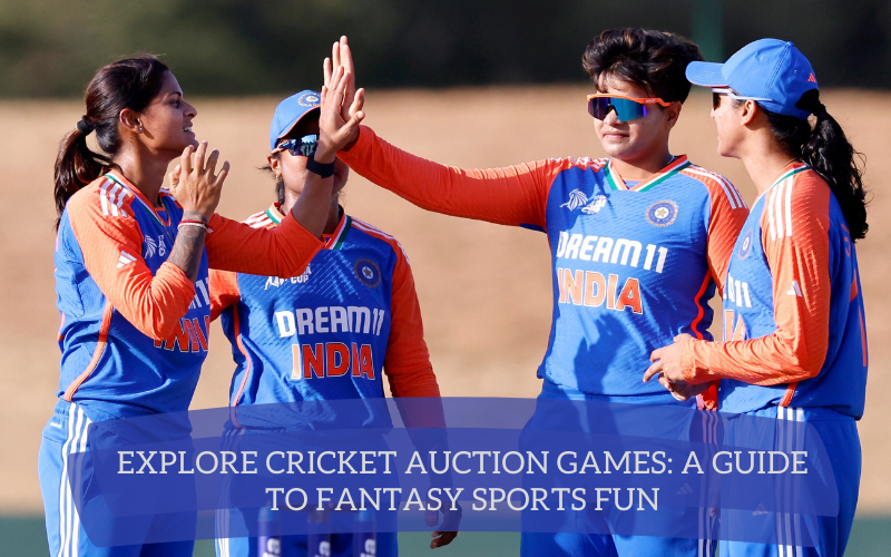 cricket auction games​