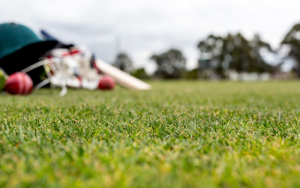 icc world cup points table 2024