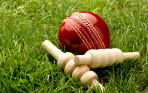 t20 cricket betting