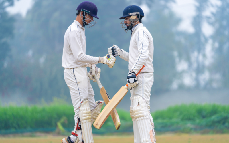 hand cricket online​